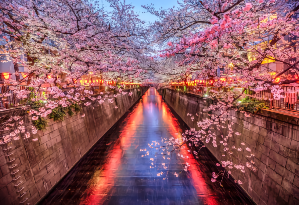 Mengenal Hanami, Tradisi Unik Di Jepang Yang Sangat Menyenangkan ...